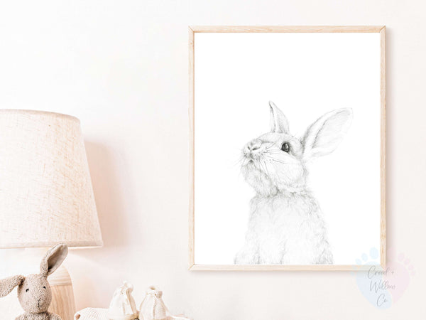 Bunny Rabbit Wall Print On Canvas Paper - White Rabbit Design