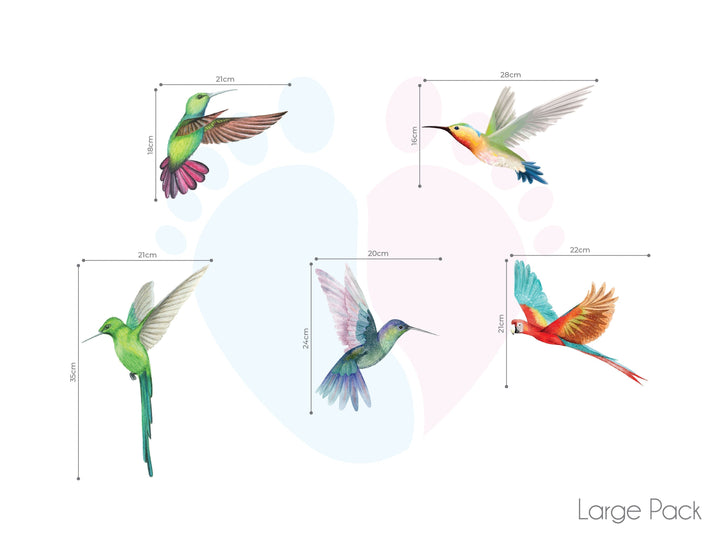 Colorful Bird Wall Decal Featuring a Close-up Of a Long-beaked, Long-tailed Bird