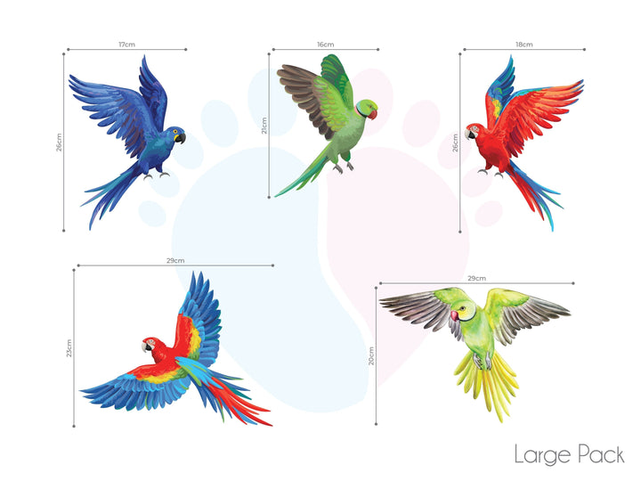 Colorful Rainbow Bird Wall Decals Set Of 4 Featuring Vibrant Parrot Designs