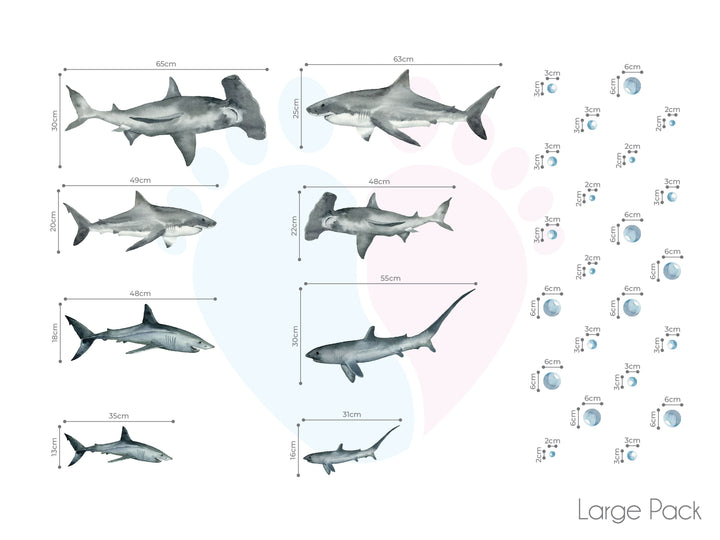 Colorful Shark Species Diagram Wall Stickers For Bedroom Decor